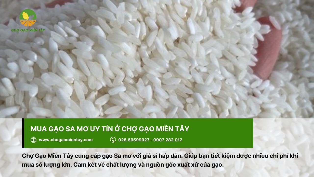 Gạo Sa Mơ 22 Chợ Gạo Miền Tây cung cấp gạo Sa mơ ngon