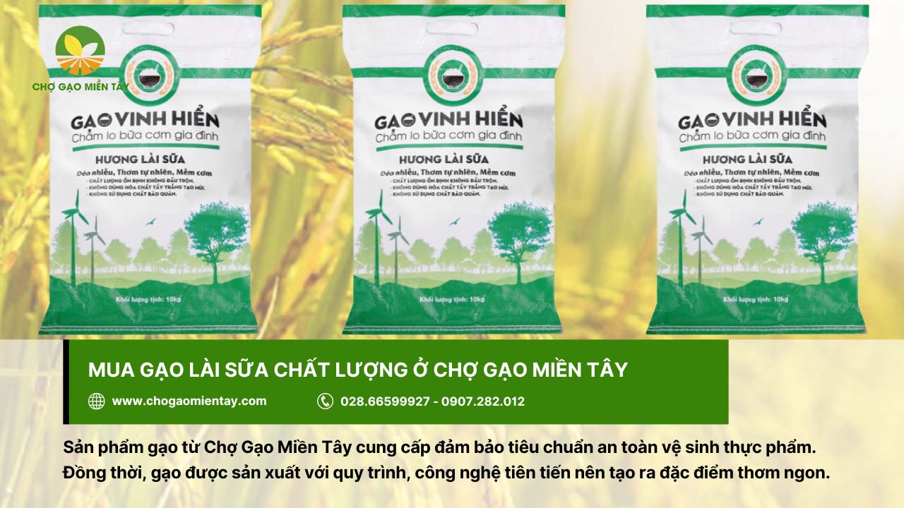 Gạo Lài Sữa 12 Chợ Gạo Miền Tây - địa chỉ cung cấp gạo lài sữa thơm ngon