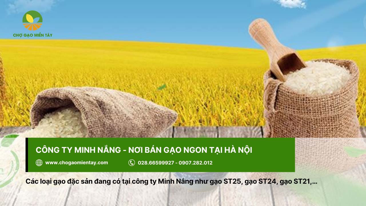 Gạo ngon ở Hà Nội mua ở đâu uy tín chất lượng 27 Công ty Minh Nắng cung cấp nhiều loại gạo khác nhau