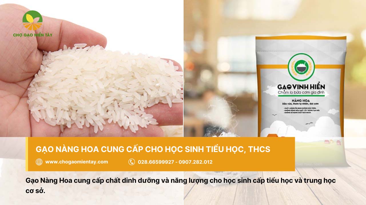 Nguồn cung cấp gạo cho trường học, căn tin giá sỉ chất lượng 12 Gạo Nàng Hoa cung cấp đủ dưỡng chất cho học sinh tiểu học và THCS