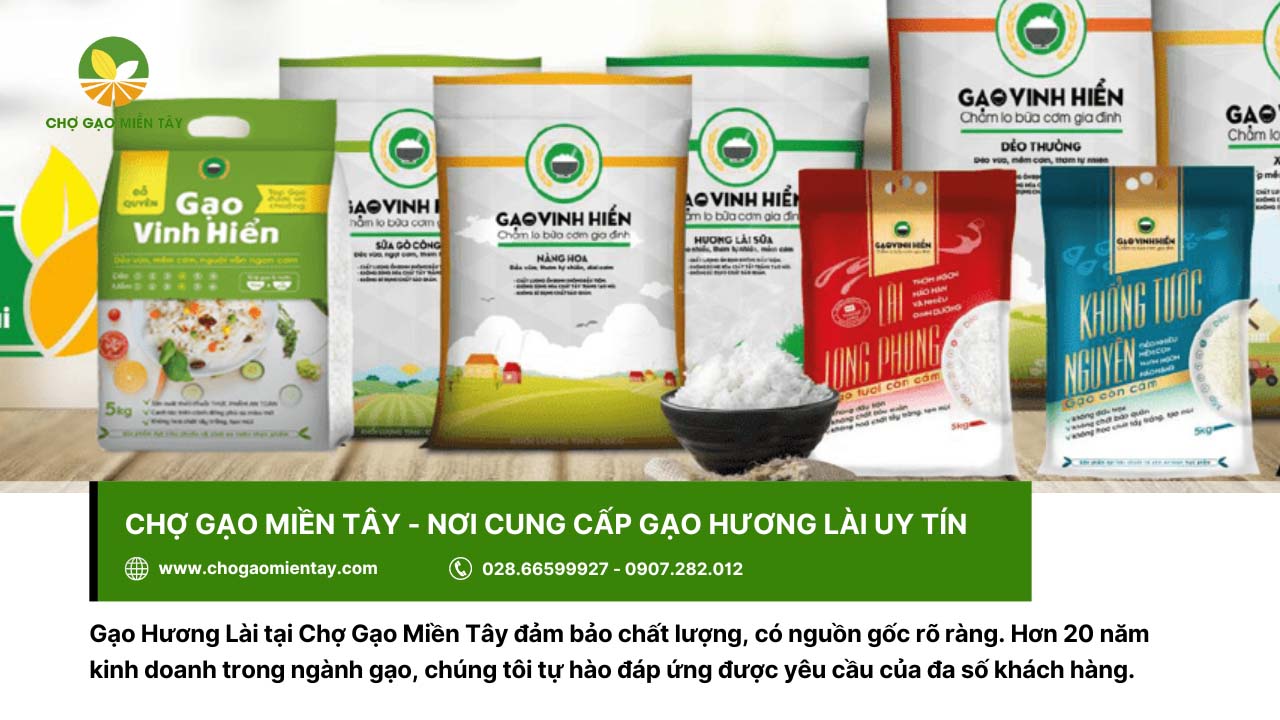 Gạo Hương Lài Sữa 22 Mua gạo Hương Lài thơm ngon tại Chợ Gạo Miền Tây