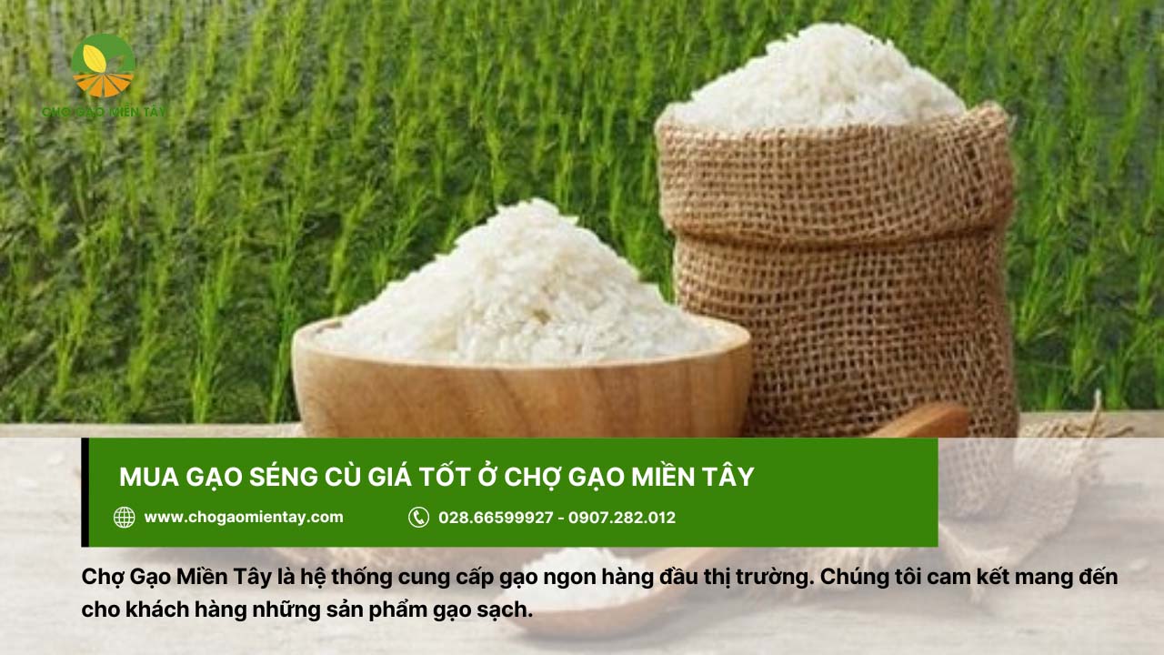 Gạo Séng Cù 12 Mua gạo chất lượng, không tạp chất tại Chợ Gạo Miền Tây