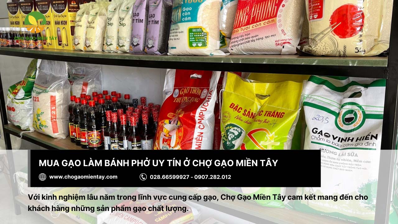 Gạo làm bánh phở: Tiêu chí và địa chỉ mua gạo chất lượng 13 Chợ Gạo Miền Tây cung cấp gạo làm bánh phở chất lượng