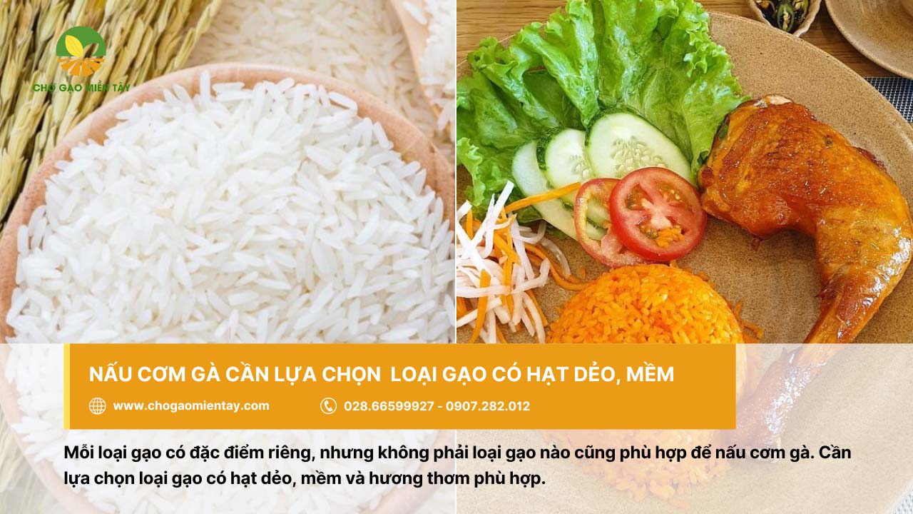 Cung cấp gạo cho quán cơm gà giá sỉ tại TP. HCM 8 Chọn gạo có hạt dẻo, mềm để nấu cơm gà ngon