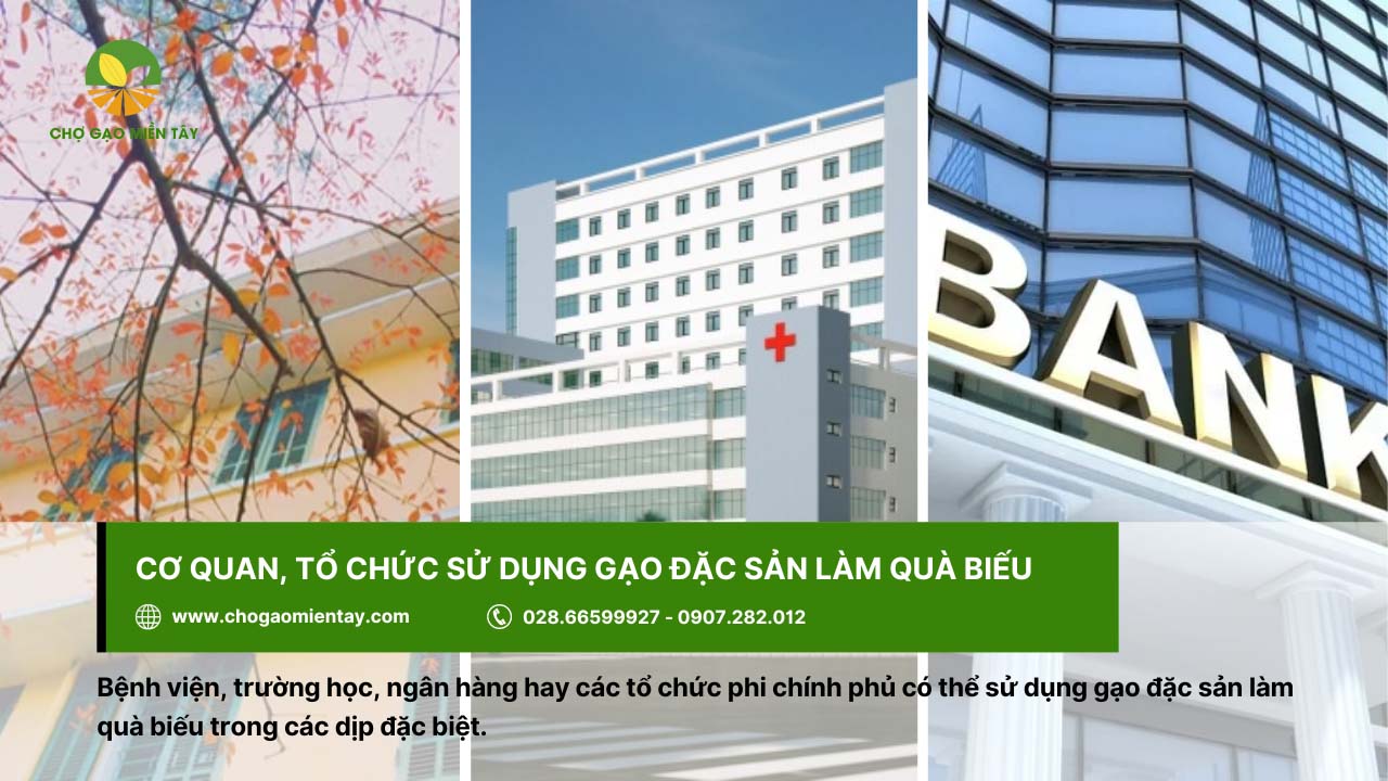 Top 9 gạo đặc sản làm quà biếu Tết chất lượng, ý nghĩa 14 Các bệnh viện, ngân hàng, trường học cũng chọn gạo đặc sản làm quà biếu