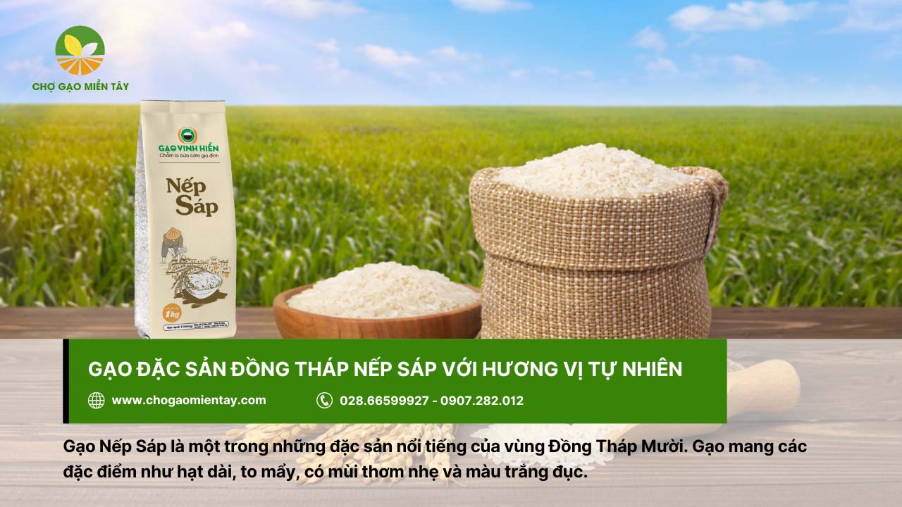 Giới thiệu các loại gạo đặc sản phổ biến, được ưa chuộng ở Việt Nam 13 Gạo đặc sản Đồng Tháp với gạo nếp sáp mùi thơm nhẹ