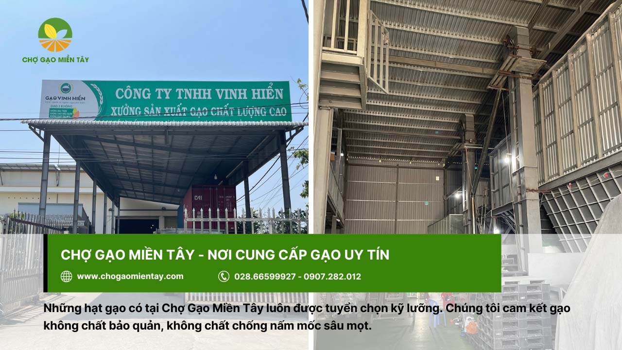 Gạo ngon ở Hà Nội mua ở đâu uy tín chất lượng 28 Chợ Gạo Miền Tây sở hữu nhà máy chất lượng, tạo ra gạo sạch, ngon