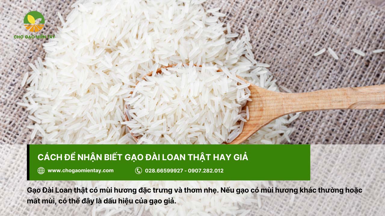 Gạo Đài Loan có công dụng gì? Những món ăn ngon từ gạo Đài Loan 5 Gạo Đài Loan thật sẽ có mùi hương thơm nhẹ