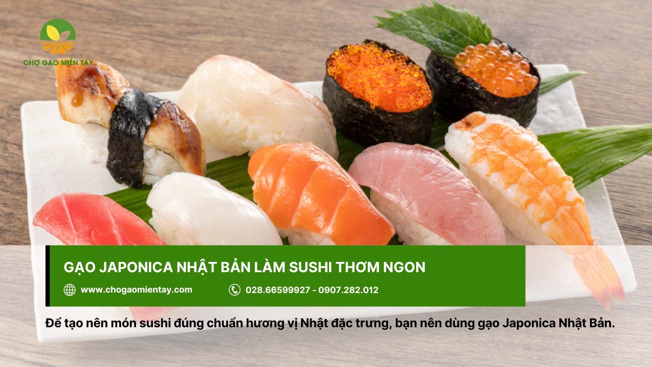 Gạo Nhật Japonica Bán Ở Đâu? Địa Chỉ Bán Gạo Nhật Giá Sỉ 8 Gạo Japonica tạo món sushi đúng hương vị Nhật