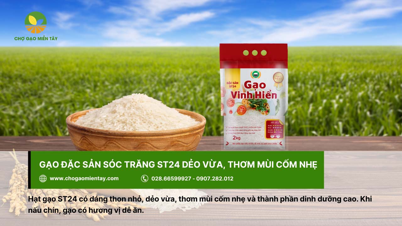 Giới thiệu các loại gạo đặc sản phổ biến, được ưa chuộng ở Việt Nam 14 Gạo ST24, đặc sản vùng Sóc Trăng có đặc điểm dẻo vừa