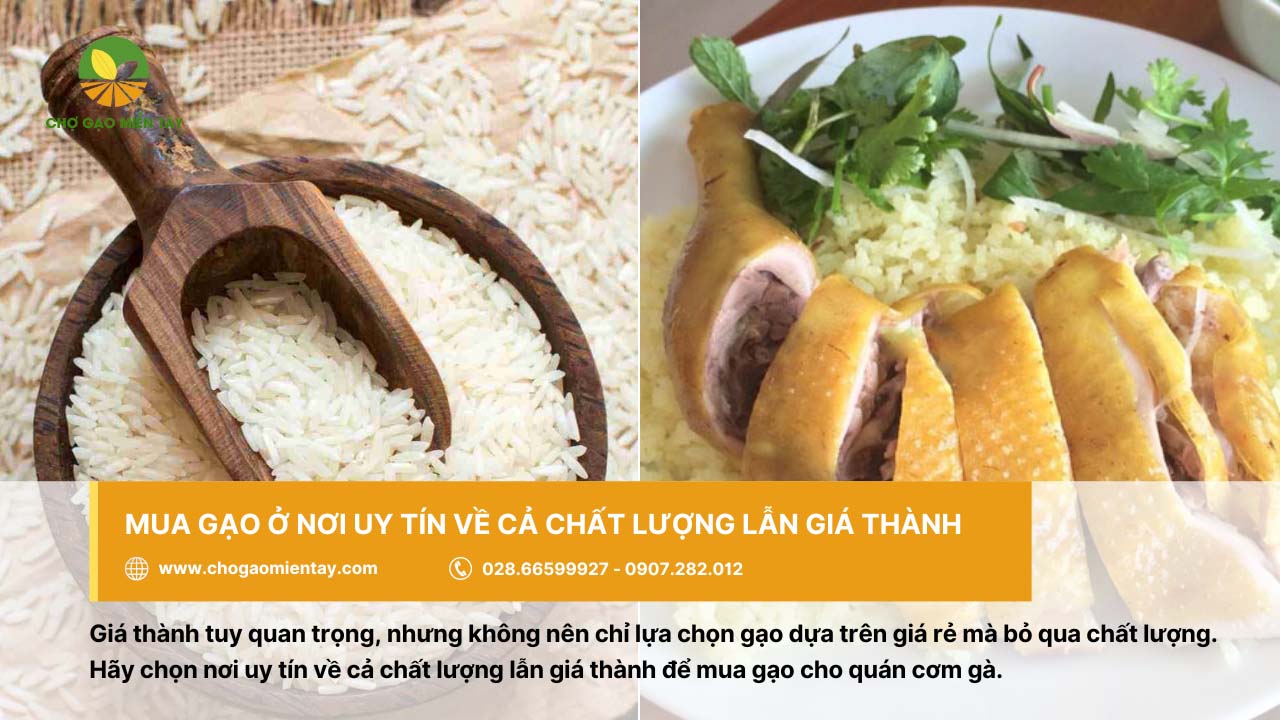 Cung cấp gạo cho quán cơm gà giá sỉ tại TP. HCM 9 Nên mua gạo đảm bảo tốt về chất lượng và giá cả
