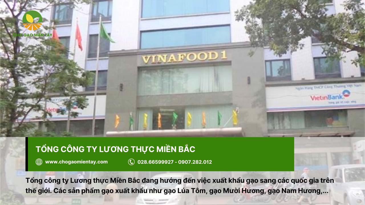Top 10 công ty xuất khẩu lúa gạo lớn nhất Việt Nam 14 Tổng Công ty Lương thực miền Bắc xuất khẩu nhiều loại gạo khác nhau