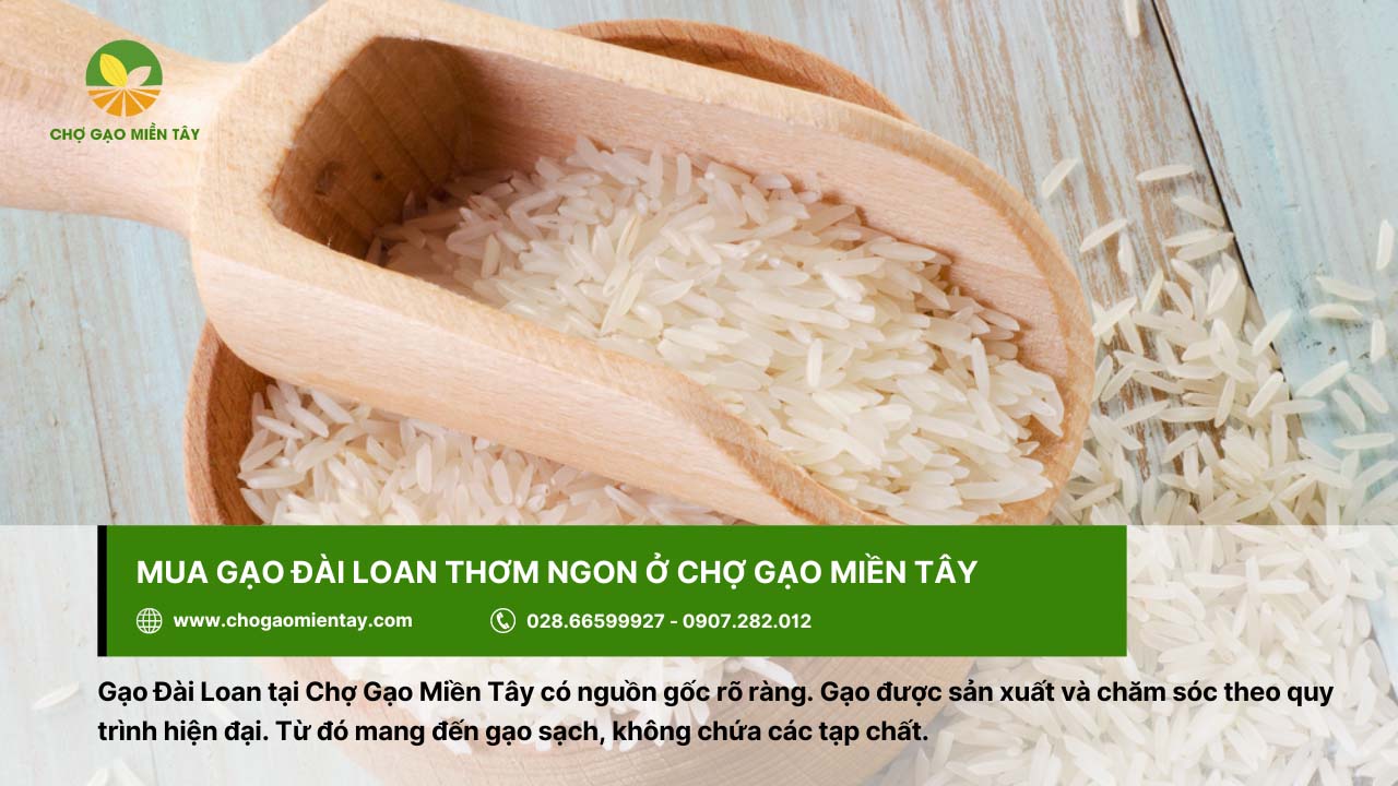 Gạo Đài Loan có công dụng gì? Những món ăn ngon từ gạo Đài Loan 6 Mua gạo Đài Loan với giá thành cạnh tranh tại Chợ Gạo Miền Tây
