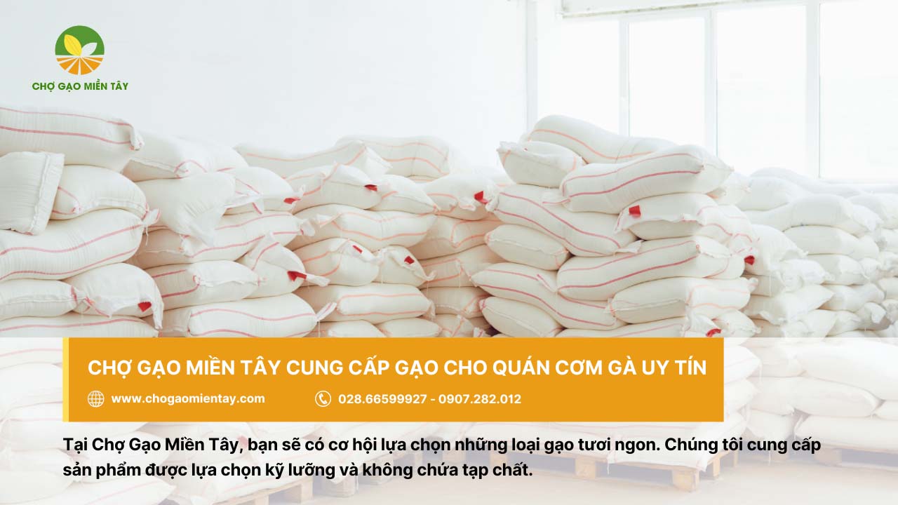Cung cấp gạo cho quán cơm gà giá sỉ tại TP. HCM 10 Mua gạo nấu cơm gà ngon ở Chợ Gạo Miền Tây