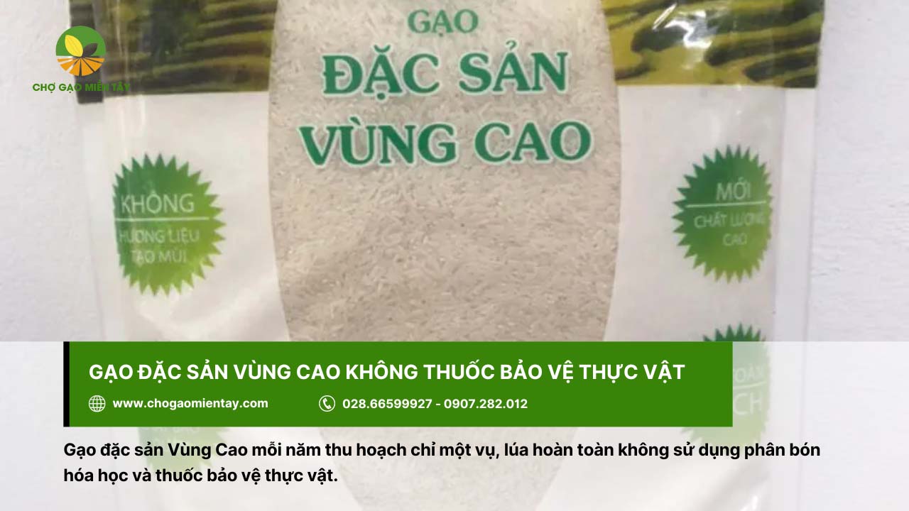 Giới thiệu các loại gạo đặc sản phổ biến, được ưa chuộng ở Việt Nam 16 Gạo đặc sản Vùng Cao không sử dụng thuốc bảo vệ thực vật
