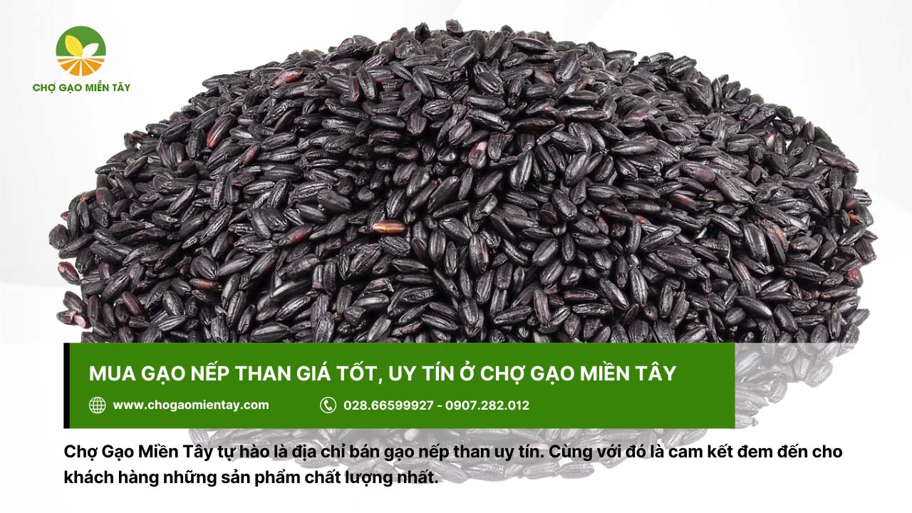 Gạo nếp than là gì? Lợi ích tuyệt vời của gạo nếp than đen 16 Mua gạo ở Chợ Gạo Miền Tây uy tín với giá thành hấp dẫn
