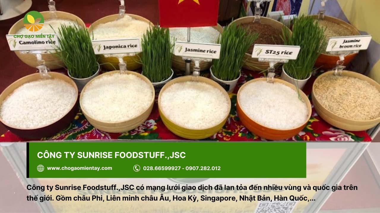 Top 10 công ty xuất khẩu lúa gạo lớn nhất Việt Nam 16 Sunrise Foodstuff.,JSC xuất khẩu lúa gạo ở nhiều thị trường trên thế giới