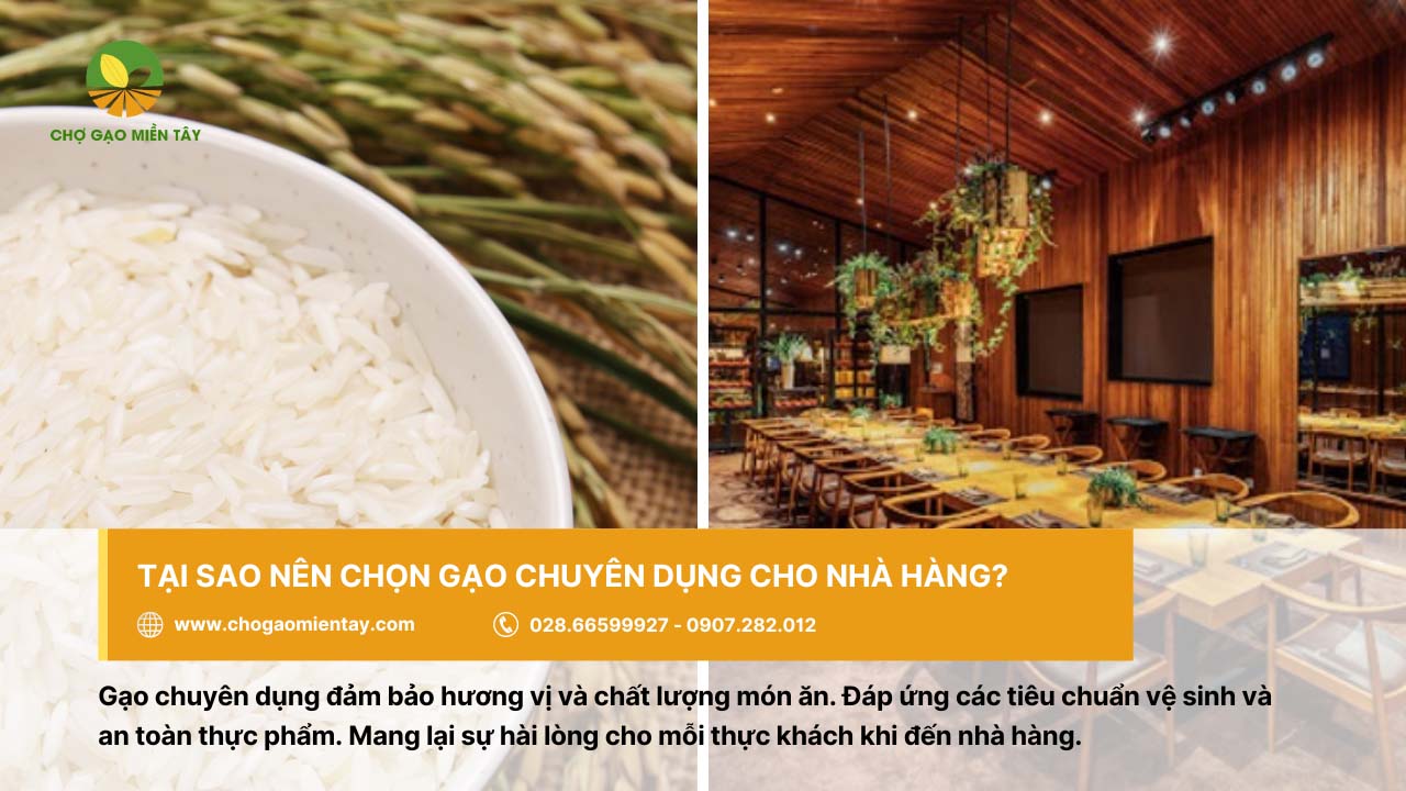 Nguồn bán gạo cung cấp gạo nhà hàng khách sạn uy tín chất lượng 3 Nên chọn gạo chuyên dụng đảm bảo tốt cho hương vị của món ăn