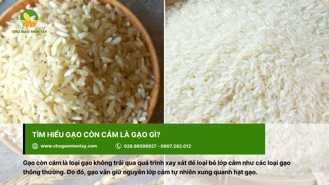 Gạo nguyên cám là gì? Phân biệt giữa gạo nguyên cám và gạo còn cám 5 Gạo còn cám vẫn giữ nguyên lớp cám tự nhiên