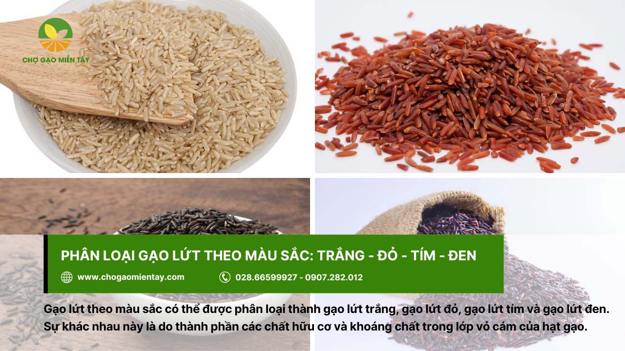Gạo Lứt Huyết Rồng 2 Theo màu sắc, gạo lứt có màu đỏ, đen, tím và trắng