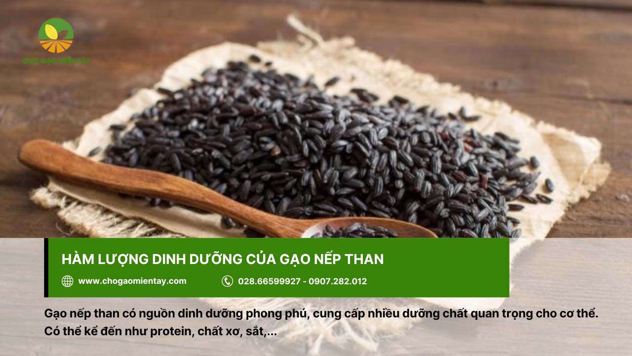 Gạo nếp than là gì? Lợi ích tuyệt vời của gạo nếp than đen 3 Gạo nếp than sở hữu hàm lượng dinh dưỡng cao
