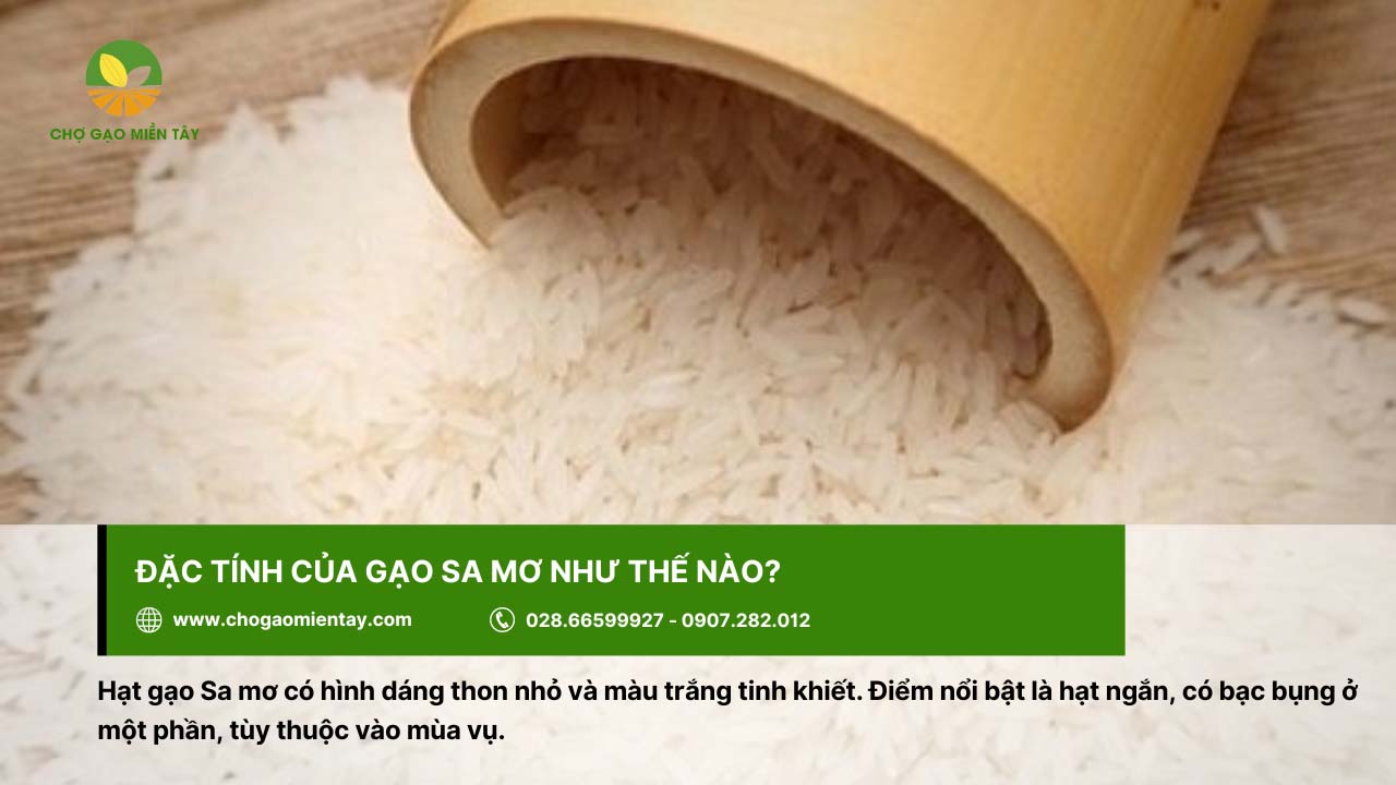 Gạo Sa Mơ 13 Gạo Sa mơ có hình dáng nhỏ, hạt ngắn