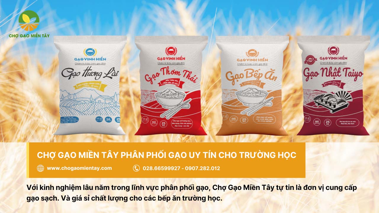 Nguồn cung cấp gạo cho trường học, căn tin giá sỉ chất lượng 3 Đơn vị cung cấp gạo cho trường học chất lượng - Chợ Gạo Miền Tây