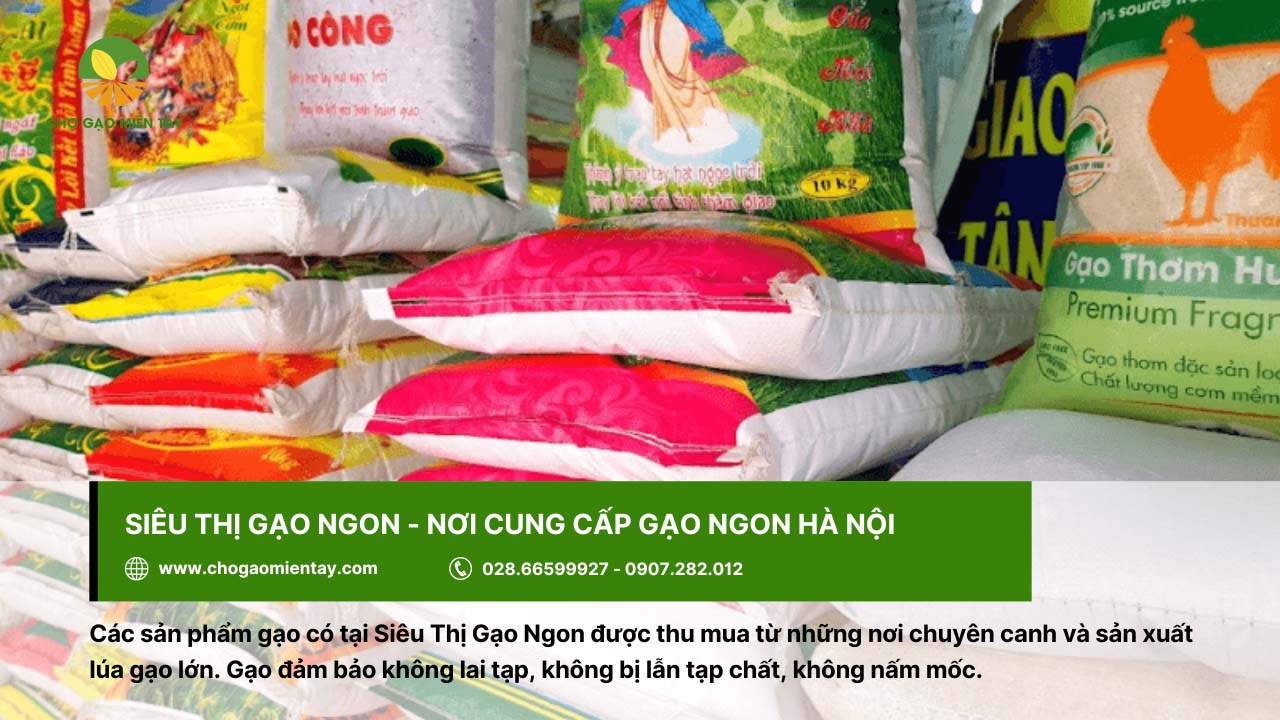 Gạo ngon ở Hà Nội mua ở đâu uy tín chất lượng 14 Siêu Thị Gạo Ngon cung cấp gạo không tạp chất