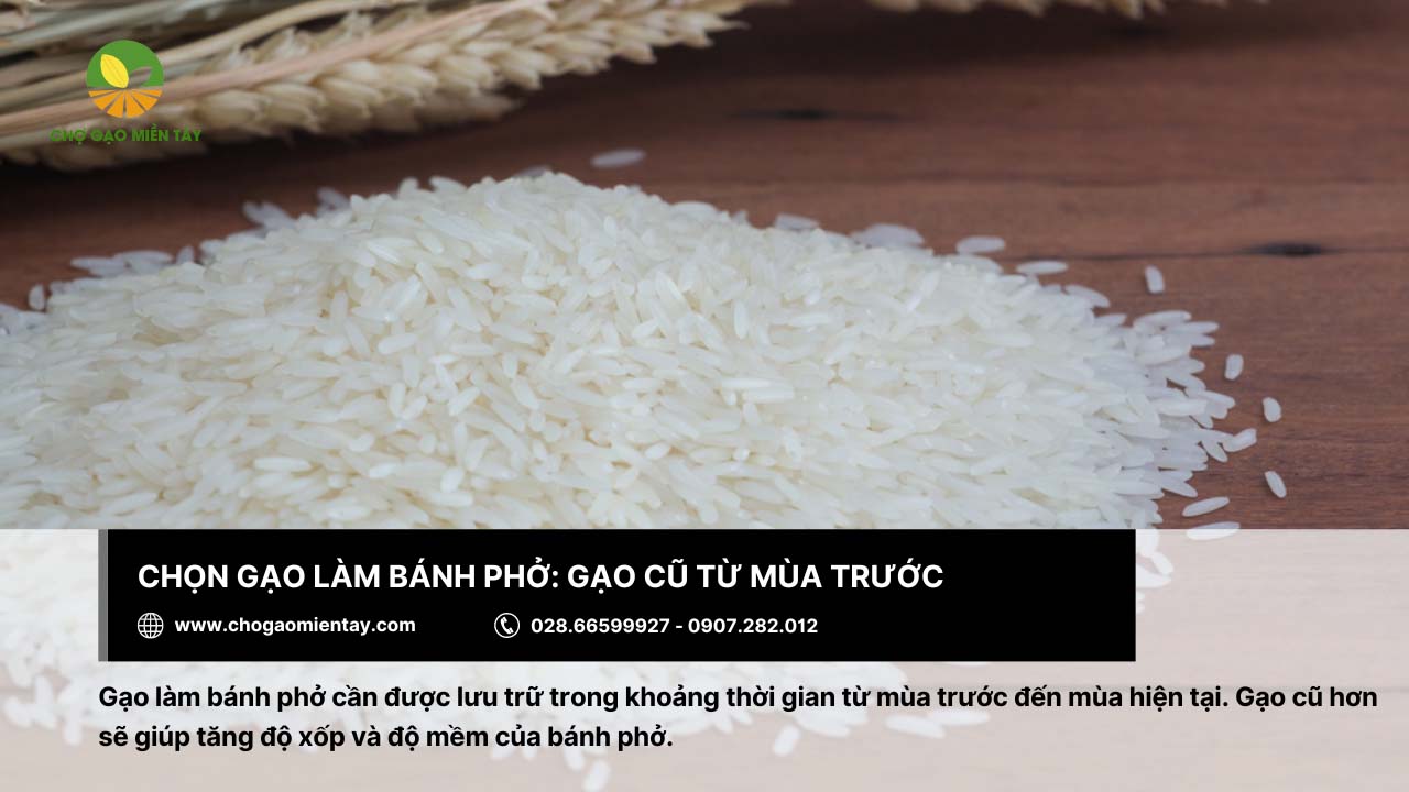 Gạo làm bánh phở: Tiêu chí và địa chỉ mua gạo chất lượng 4 Gạo càng cũ sẽ càng tăng cường độ xốp làm cho bánh phở mềm hơn
