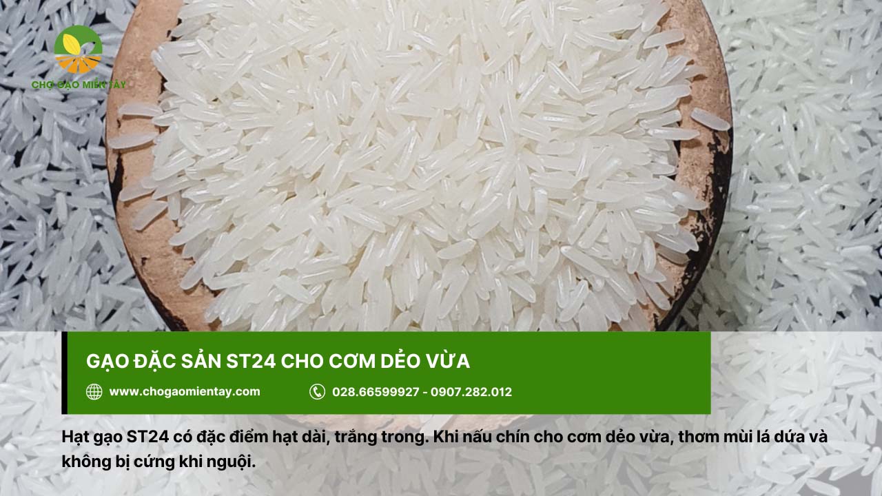 Top 9 gạo đặc sản làm quà biếu Tết chất lượng, ý nghĩa 4 Gạo đặc sản ST24 cho cơm dẻo vừa, thích hợp làm quà biếu