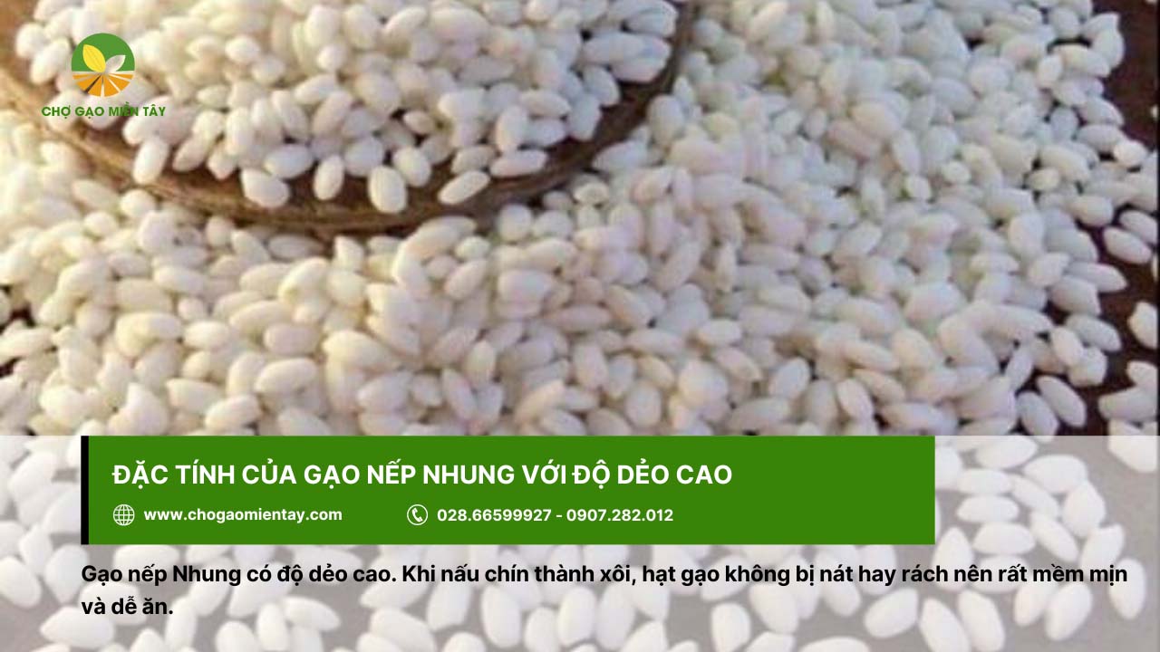 Gạo Nếp Nhung 4 Gạo nếp Nhung có độ dẻo cao