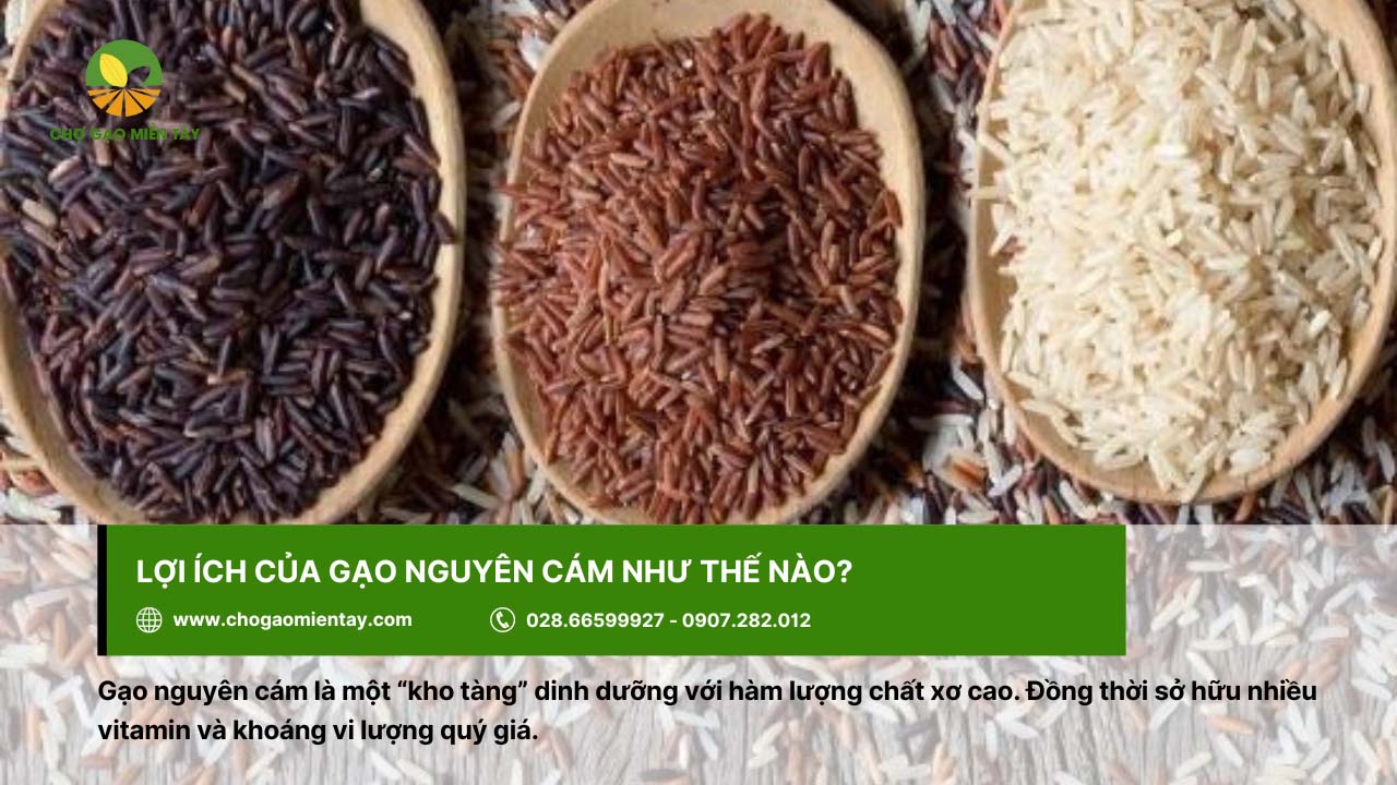 Gạo nguyên cám là gì? Phân biệt giữa gạo nguyên cám và gạo còn cám 4 Gạo nguyên cám sở hữu nhiều vi lượng tốt cho sức khỏe