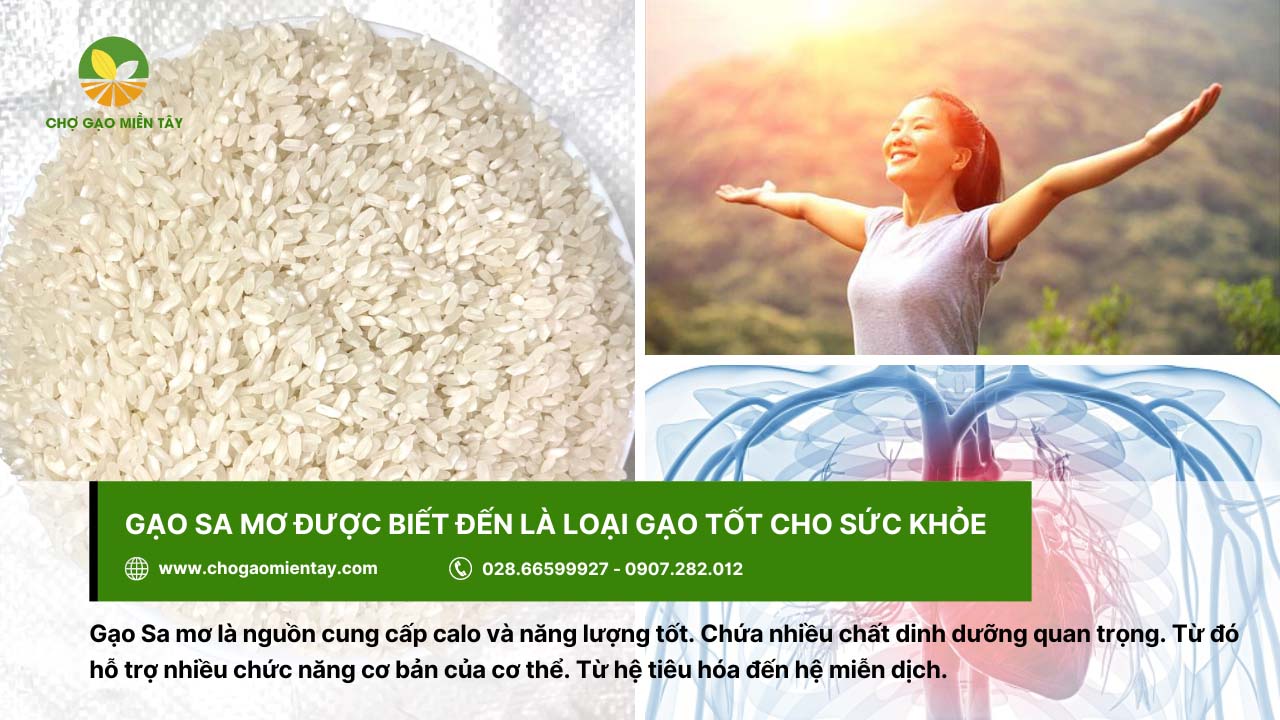 Gạo Sa Mơ 14 Gạo Sa mơ có nhiều công dụng tốt đối với sức khỏe
