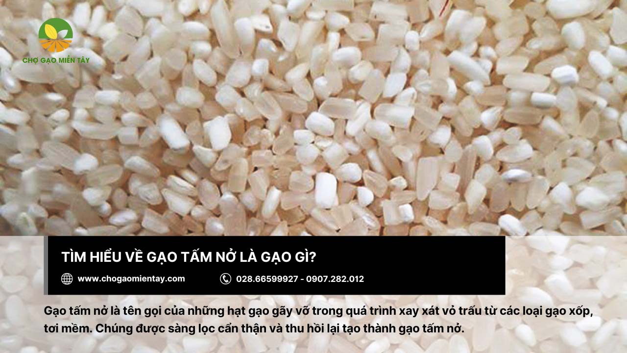Gạo Tấm Nở 2 Gạo tấm nở là những hạt gạo gãy vỡ