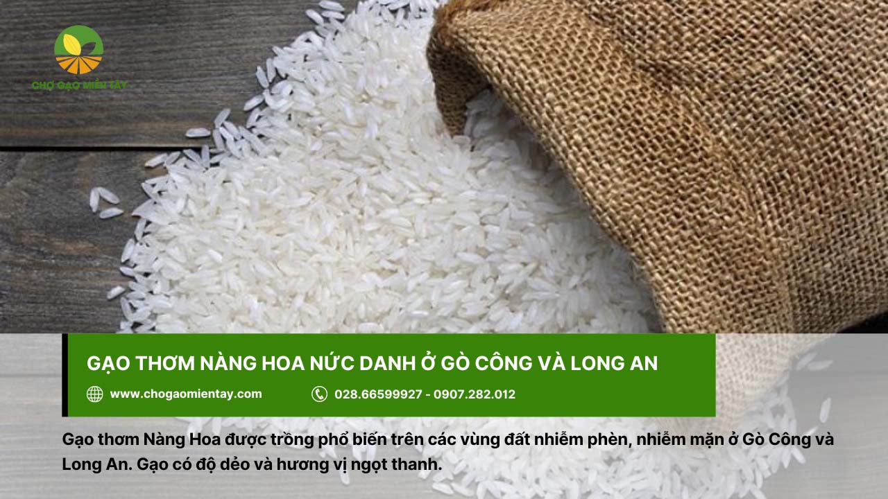 Top các loại gạo miền Nam được ưa chuộng hiện nay 4 Gạo thơm Nàng Hoa có vị ngọt thanh, có nhiều ở Gò Công và Long An