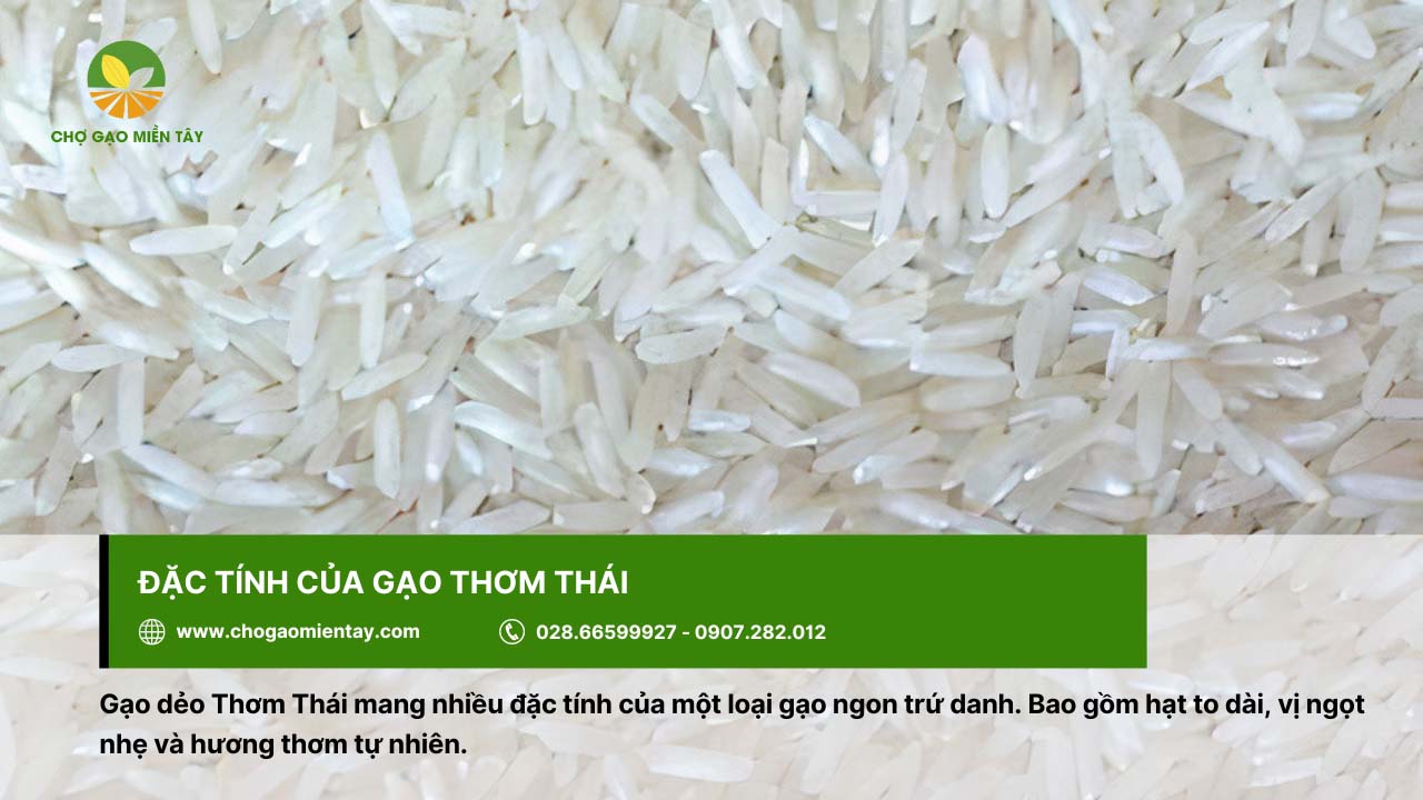Gạo Thơm Thái 4 Gạo Thơm Thái với hạt to dài, hương thơm tự nhiên