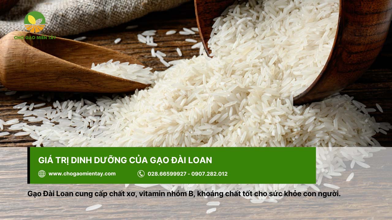Gạo Đài Loan Sữa Gò Công 3 Gạo Đài Loan cung cấp dinh dưỡng thiết yếu cho cơ thể
