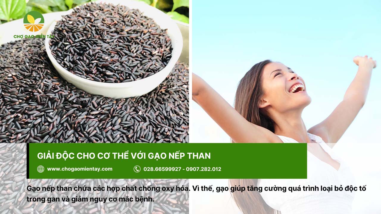 Gạo nếp than là gì? Lợi ích tuyệt vời của gạo nếp than đen 5 Giải độc cơ thể nhờ ăn gạo nếp than