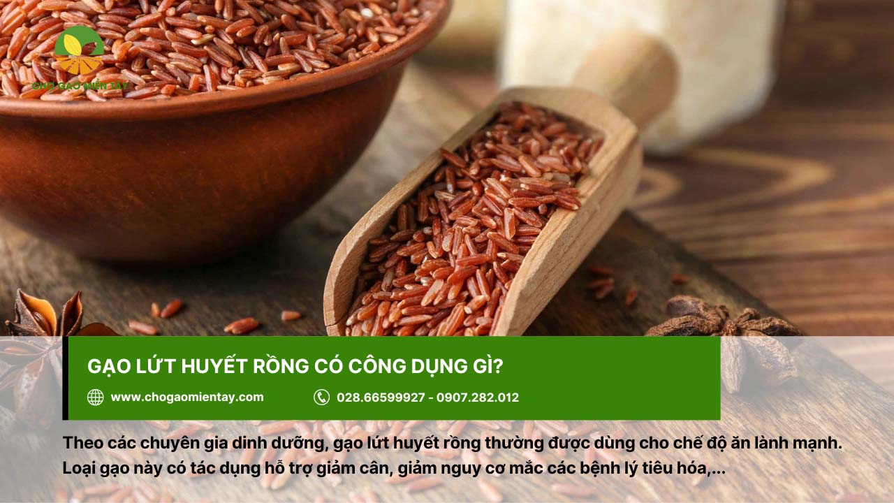 Gạo lứt huyết rồng là gì? Công dụng & Tác dụng đối với cơ thể 7 Gạo lứt huyết rồng hỗ trợ giảm nguy cơ mắc bệnh về tiêu hóa