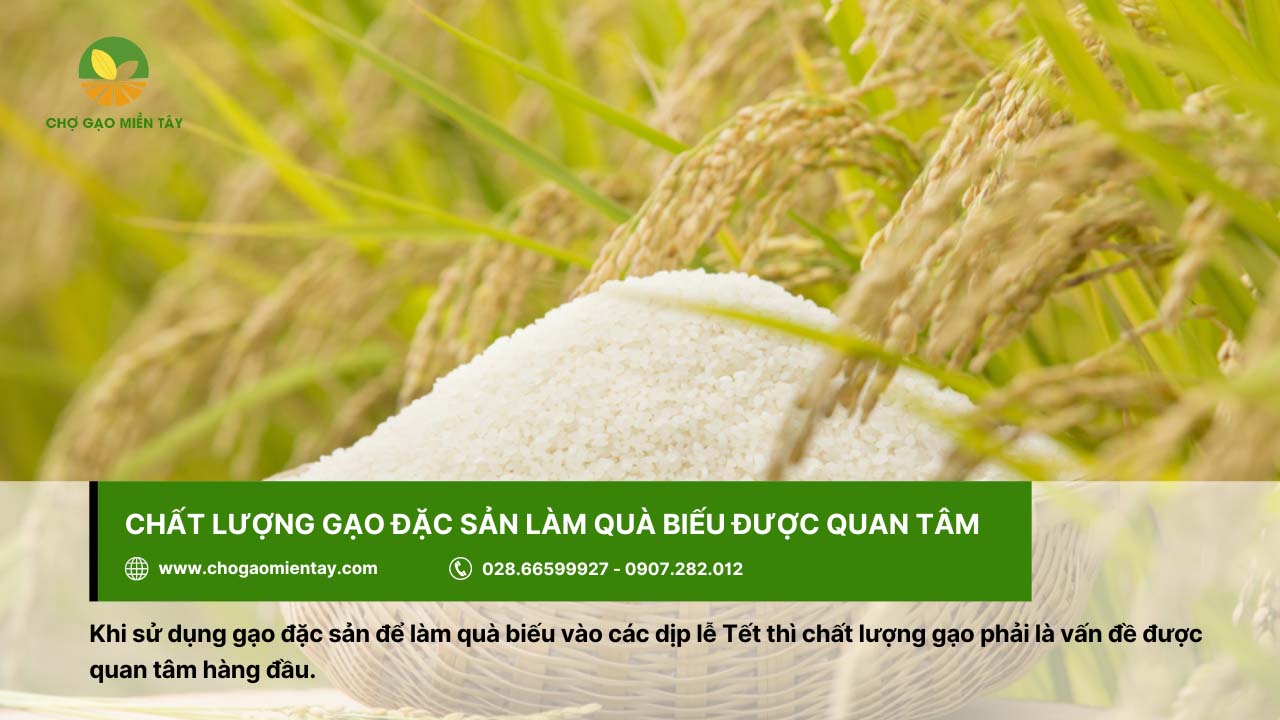 Giới thiệu các loại gạo đặc sản phổ biến, được ưa chuộng ở Việt Nam 5 Chất lượng gạo đặc sản được quan tâm khi dùng làm quà biếu
