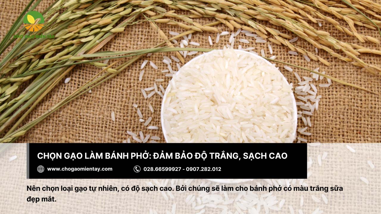 Gạo làm bánh phở: Tiêu chí và địa chỉ mua gạo chất lượng 5 Nên chọn gạo có độ trắng và sạch cao để làm bánh phở