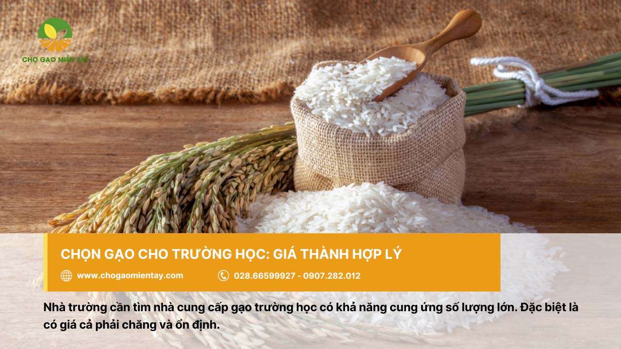Nguồn cung cấp gạo cho trường học, căn tin giá sỉ chất lượng 5 Chọn nơi cung cấp gạo cho trường học với giá hợp lý và ổn định