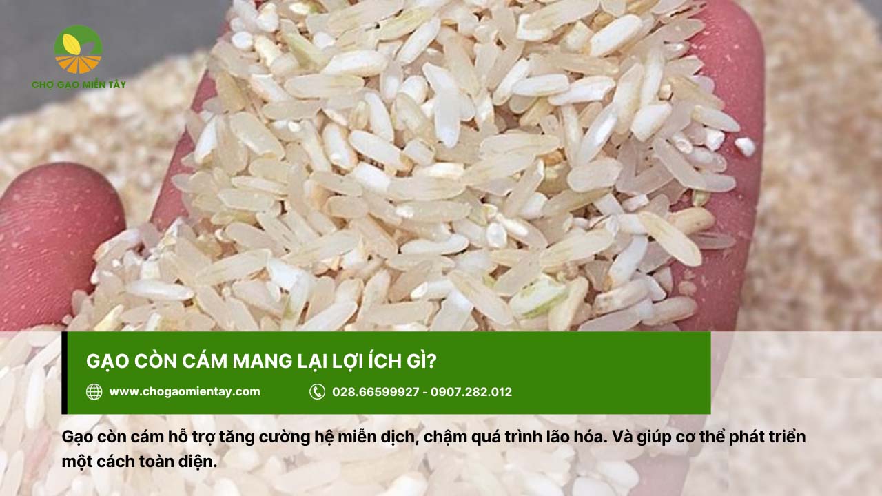 Gạo nguyên cám là gì? Phân biệt giữa gạo nguyên cám và gạo còn cám 6 Gạo còn cám giúp tăng cường hệ miễn dịch