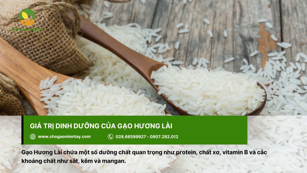 Gạo Hương Lài Sữa 15 Gạo Hương Lài có giá trị dinh dưỡng cao