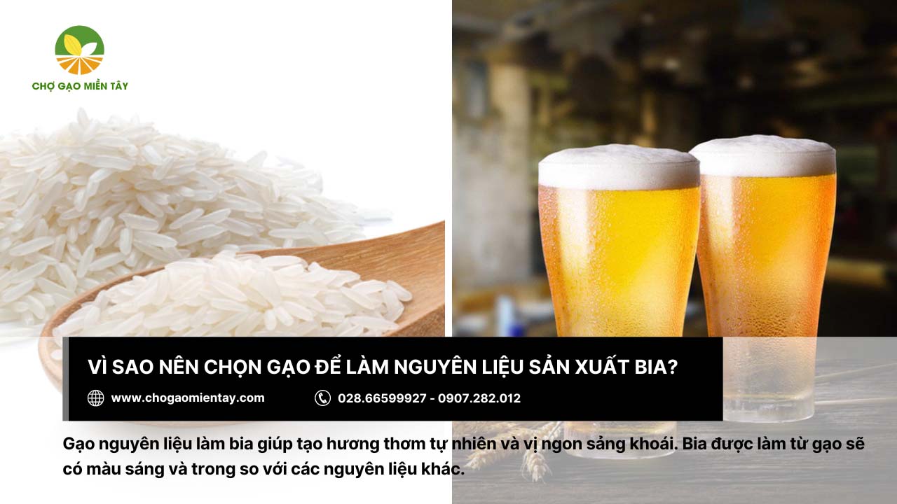 Các loại gạo nguyên liệu làm bia phổ biến nhất hiện nay 5 Sử dụng gạo làm nguyên liệu sản xuất bia nhằm tối ưu chi phí