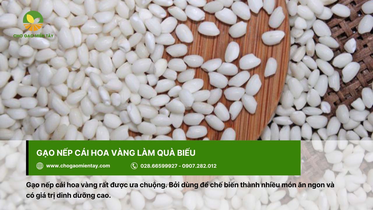 Top 9 gạo đặc sản làm quà biếu Tết chất lượng, ý nghĩa 5 Gạo nếp cái hoa vàng với giá trị dinh dưỡng cao dùng làm quà biếu