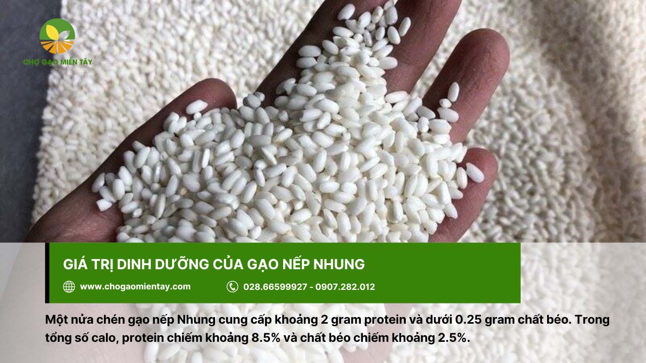 Gạo Nếp Nhung 5 Gạo nếp Nhung có giá trị dinh dưỡng cao