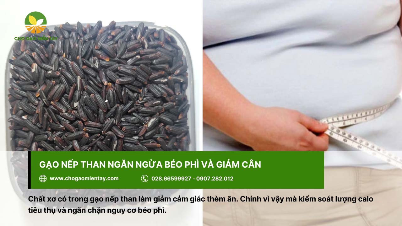 Gạo nếp than là gì? Lợi ích tuyệt vời của gạo nếp than đen 8 Một trong những tác dụng của nếp than là ngăn ngừa béo phì