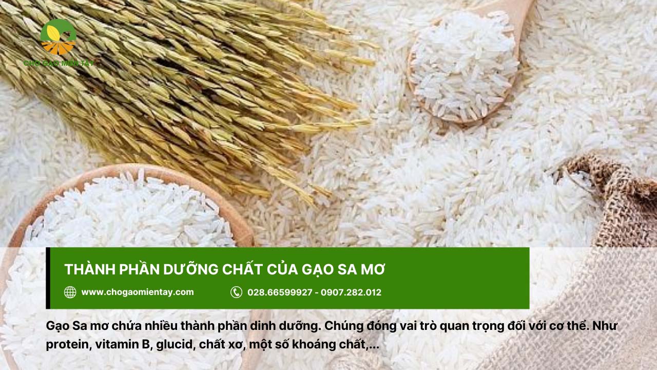 Gạo Sa Mơ 15 Gạo Sa mơ có thành phần dinh dưỡng đa dạng