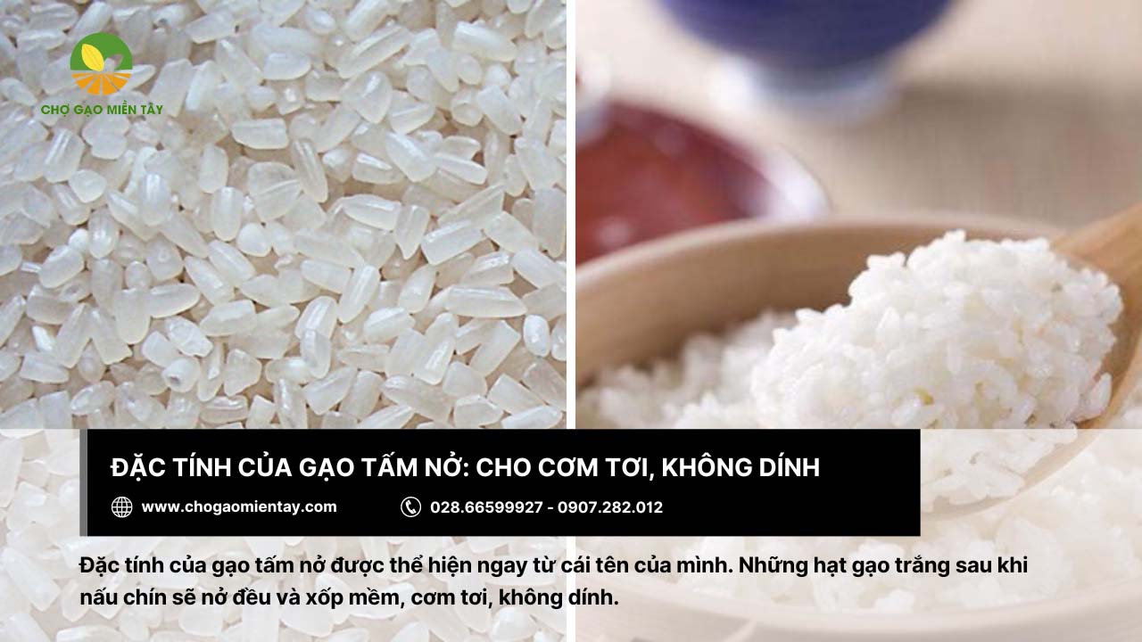 Gạo Tấm Nở 3 Gạo tấm nở khi nấu chín cho cơm tơi, không dính